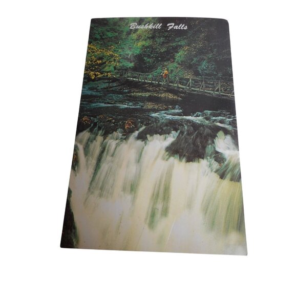 Vintage Postcard unposted Bushkill Falls, PA 1960s waterfall bridge Poconos - Picture 1 of 2